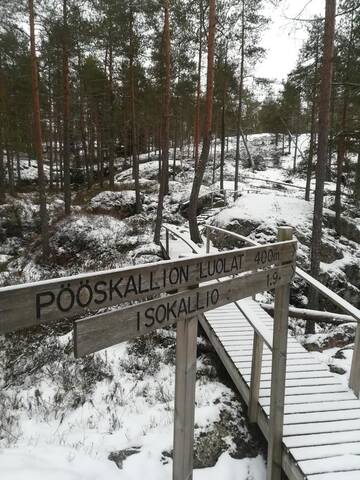 Фото Проживание в семье Amalian Kammari г. Kaustinen 5