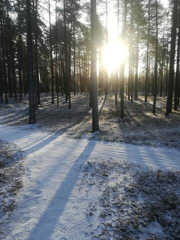 Фото Проживание в семье Amalian Kammari г. Kaustinen 2